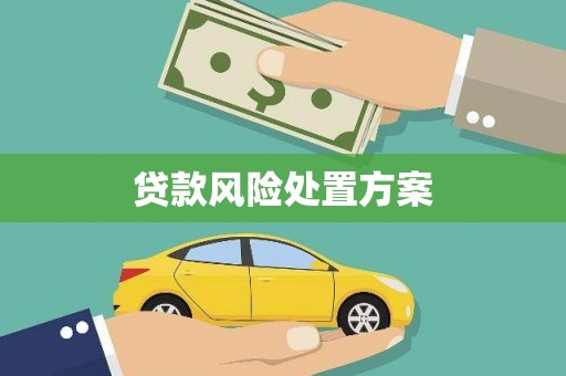 龙沙贷款风险处置方案