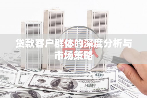龙沙贷款客户群体的深度分析与市场策略