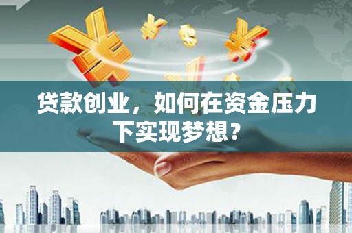 龙沙贷款创业，如何在资金压力下实现梦想？