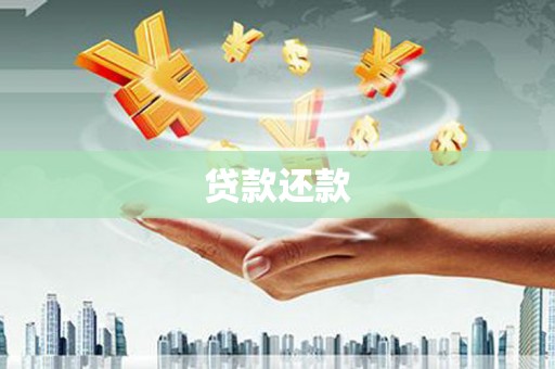 龙沙贷款还款