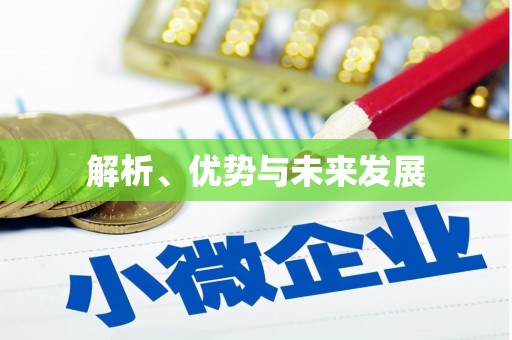龙沙解析、优势与未来发展