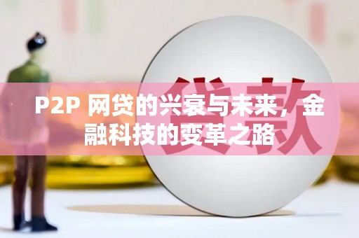 龙沙P2P 网贷的兴衰与未来，金融科技的变革之路