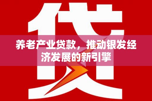 龙沙养老产业贷款，推动银发经济发展的新引擎