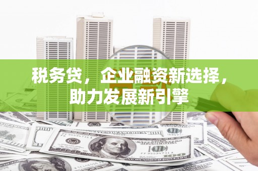 龙沙税务贷，企业融资新选择，助力发展新引擎