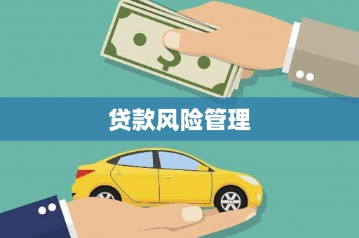 龙沙贷款风险管理