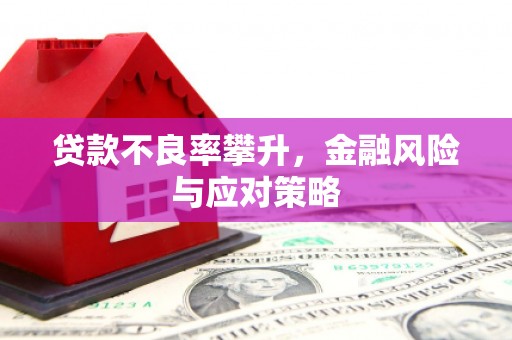 龙沙贷款不良率攀升，金融风险与应对策略
