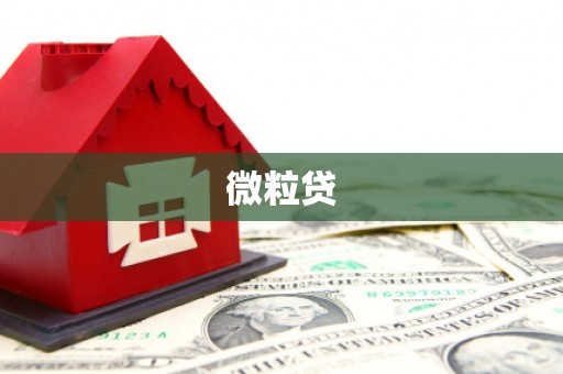 龙沙微粒贷