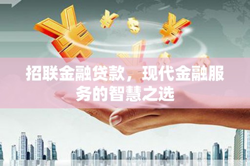 龙沙招联金融贷款，现代金融服务的智慧之选