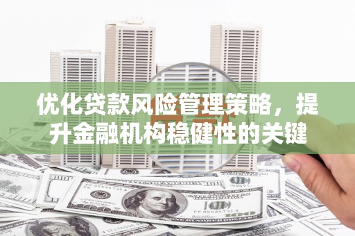 龙沙优化贷款风险管理策略，提升金融机构稳健性的关键