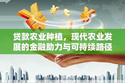 龙沙贷款农业种植，现代农业发展的金融助力与可持续路径