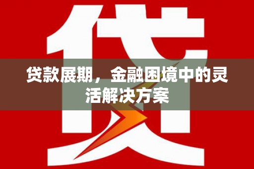 龙沙贷款展期，金融困境中的灵活解决方案