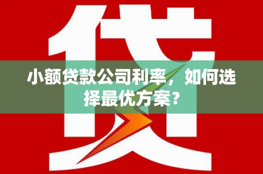 龙沙小额贷款公司利率，如何选择最优方案？