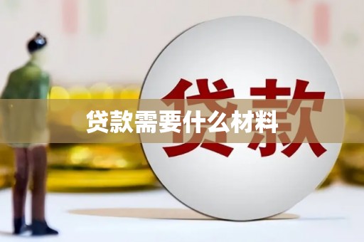 龙沙贷款需要什么材料