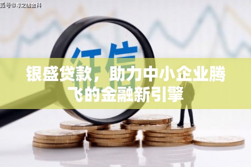 龙沙银盛贷款，助力中小企业腾飞的金融新引擎