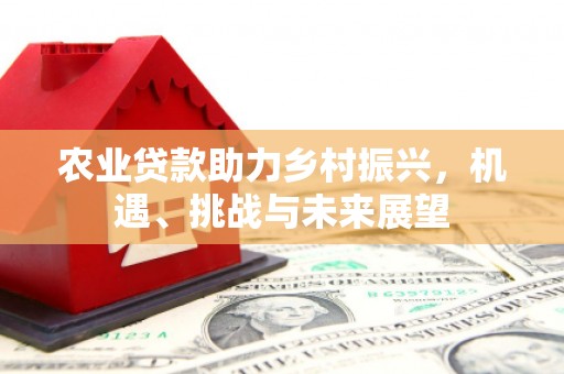 龙沙农业贷款助力乡村振兴，机遇、挑战与未来展望