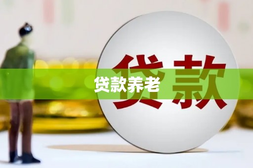 龙沙贷款养老