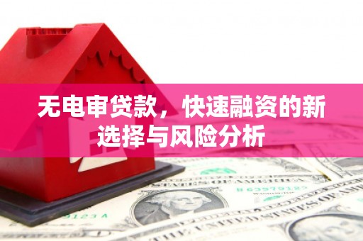 龙沙无电审贷款，快速融资的新选择与风险分析