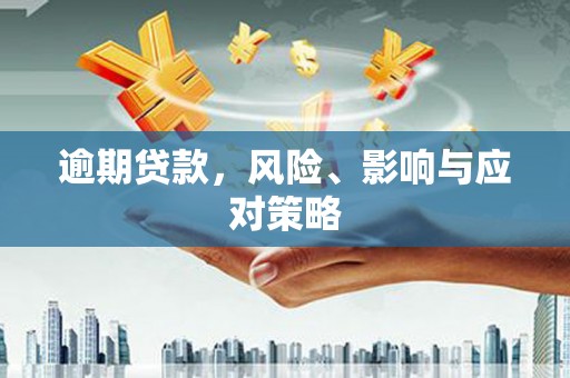 龙沙逾期贷款，风险、影响与应对策略