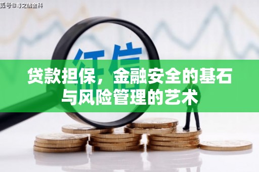 龙沙贷款担保，金融安全的基石与风险管理的艺术