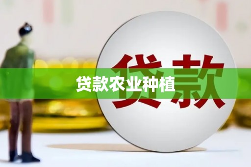 龙沙贷款农业种植