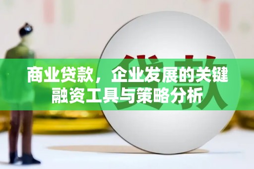 龙沙商业贷款，企业发展的关键融资工具与策略分析