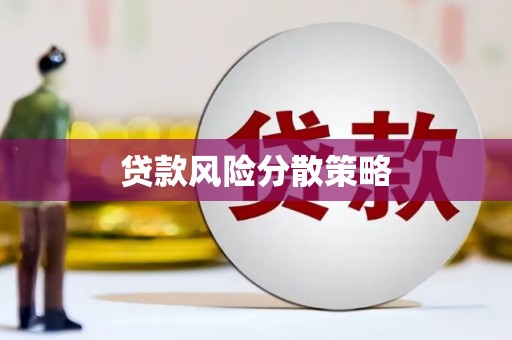 龙沙贷款风险分散策略