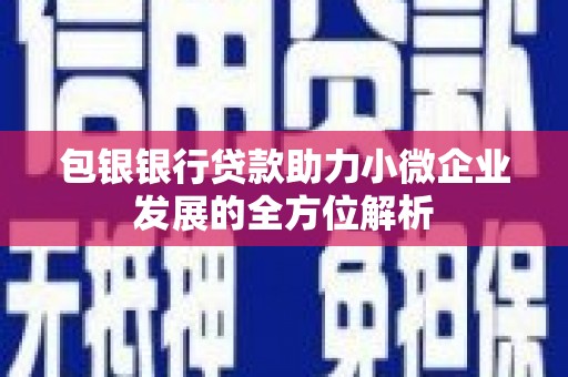 龙沙包银银行贷款助力小微企业发展的全方位解析