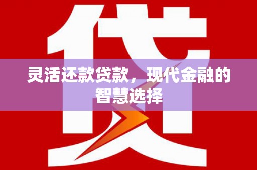 龙沙灵活还款贷款，现代金融的智慧选择