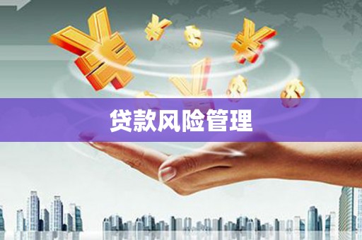 龙沙贷款风险管理
