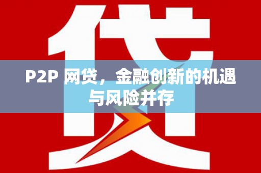 龙沙P2P 网贷，金融创新的机遇与风险并存