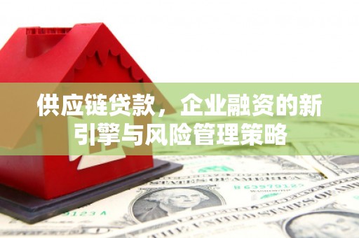 龙沙供应链贷款，企业融资的新引擎与风险管理策略