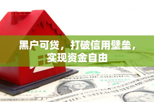 龙沙黑户可贷，打破信用壁垒，实现资金自由