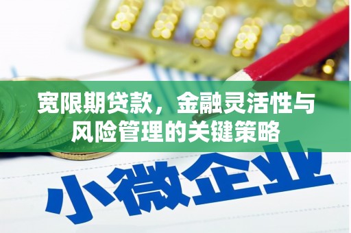 龙沙宽限期贷款，金融灵活性与风险管理的关键策略