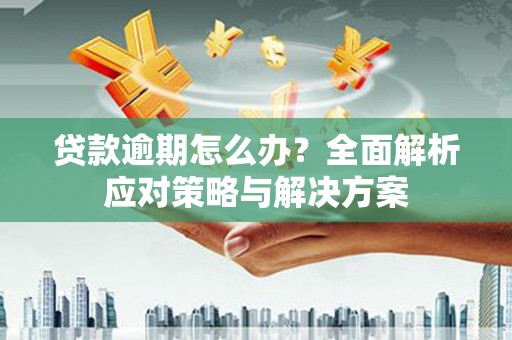 龙沙贷款逾期怎么办？全面解析应对策略与解决方案