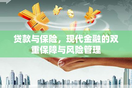 龙沙贷款与保险，现代金融的双重保障与风险管理