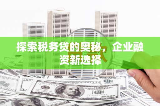 龙沙探索税务贷的奥秘，企业融资新选择