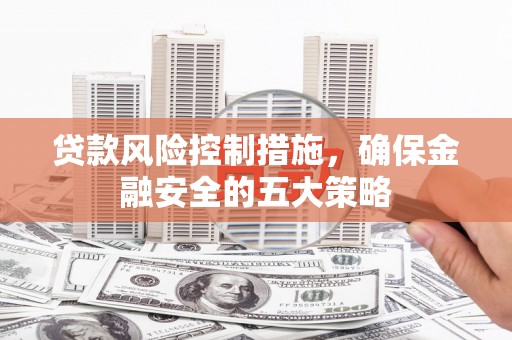 龙沙贷款风险控制措施，确保金融安全的五大策略