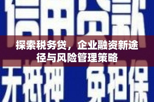 龙沙探索税务贷，企业融资新途径与风险管理策略