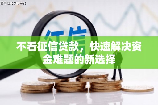 龙沙不看征信贷款，快速解决资金难题的新选择