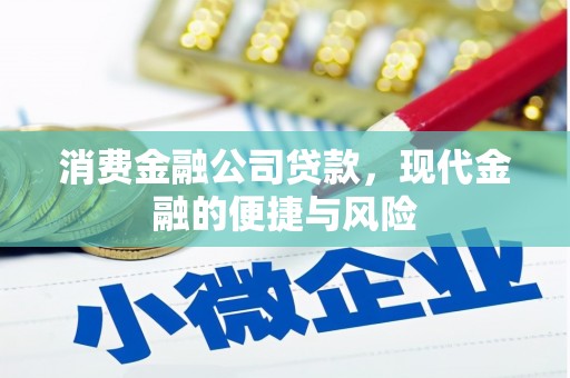 龙沙消费金融公司贷款，现代金融的便捷与风险