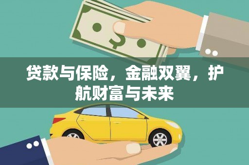 龙沙贷款与保险，金融双翼，护航财富与未来