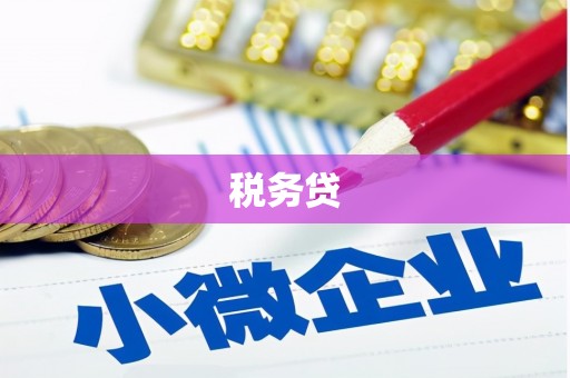 龙沙税务贷