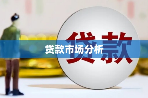 龙沙贷款市场分析