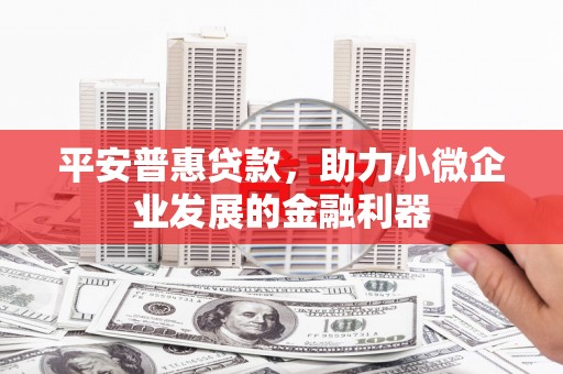 龙沙平安普惠贷款，助力小微企业发展的金融利器