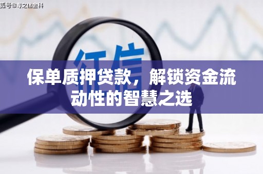 龙沙保单质押贷款，解锁资金流动性的智慧之选