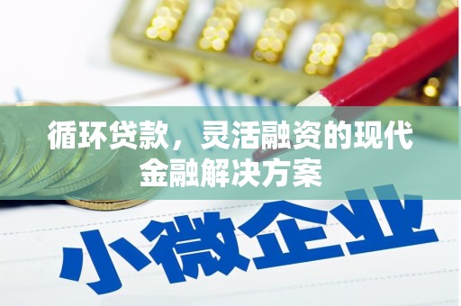 龙沙循环贷款，灵活融资的现代金融解决方案