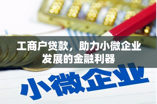 龙沙工商户贷款，助力小微企业发展的金融利器
