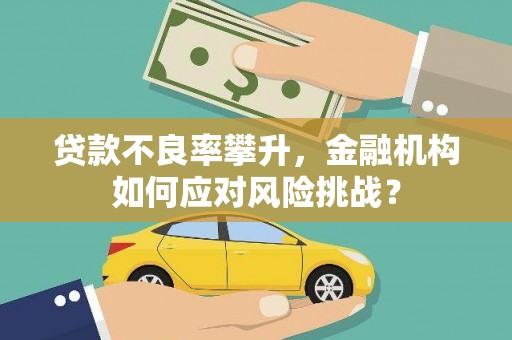 龙沙贷款不良率攀升，金融机构如何应对风险挑战？