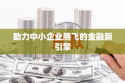 龙沙助力中小企业腾飞的金融新引擎