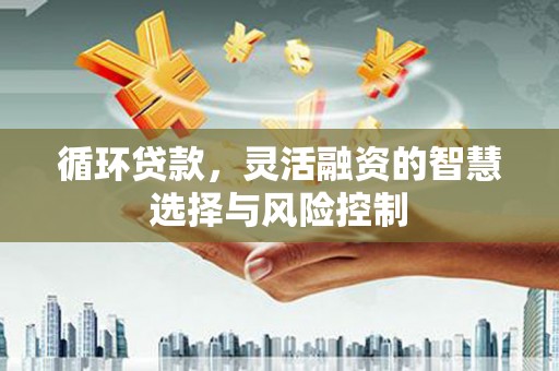 龙沙循环贷款，灵活融资的智慧选择与风险控制